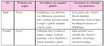 The organs in the female reproductive system are divided into external organs and internal organs. Parts Of Flower Male And Female Reproductive System Sexual Reproduction In Plants Class 7 Reproduction In Plants Science The Same Flower Has Both Male And Female Reproductive Organs