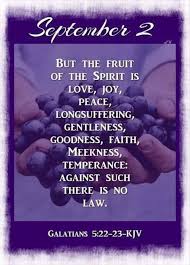 Pin By Tee Gary On Scripture Verse Daily Bible Verse December Scriptures Daily Scripture