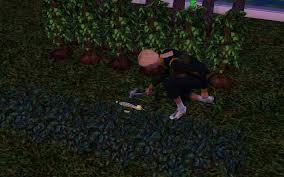 We did not find results for: The Sims 3 Gardener The Perfect Garden Lifetime Wish