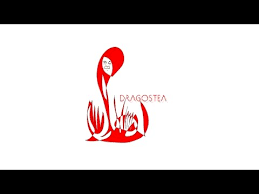 Mihai Sora Animation Par Luiza Palanciuc Youtube