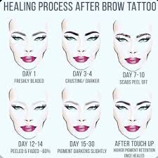 Trust trillium ink, the leading micropigmentation experts in washington and oregon. The Brows Artist Pmu Healing Process Facebook