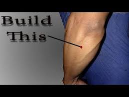 We have the 7 best forearm exercises that will help you add strength and size to your arms. One Exercise To Get Bigger Forearms Wrist Youtube Forearm Workout Big Forearms Forearm Muscles