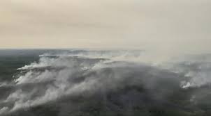 Estos incendios peligrosos se pueden expandir rápidamente y devastar no solo las áreas naturales y forestales, pero también comunidades. Los Incendios Forestales Paralizan Un Aeropuerto En Siberia