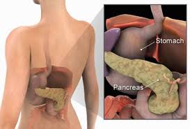You might have any of the following symptoms if your cancer has spread to the liver: Chasing Diabetes Connection To Pancreatic Cancer