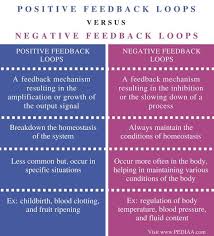 Difference Between Positive And Negative Feedback Loops In Biology Pediaa Com Human Anatomy And Physiology Biology Lessons Medical School Studying