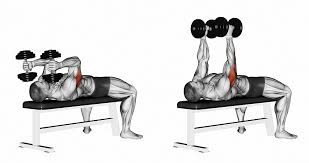 How do you get bigger arm muscles? 8 Arm Exercises To Build Muscle Fitness 1440