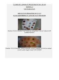 Uji makanan protein lemak karbohidrat. Gambar Laporan Hasil Praktikum Ipa Dasar Di Sd Uji Makanan
