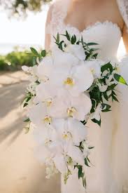 We did not find results for: Cascading Ivory Orchid Bridal Bouquet By Petals Anna Kim Photography White Orchid Bouquet Cascading Wedding Bouquets Orchid Wedding