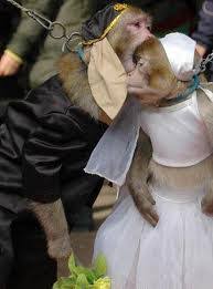 Check spelling or type a new query. Humor Thinktank Gpib Laman 2 Catatan Dari Zion Kota Damai