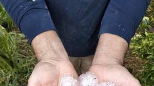 Trixie foopahh solo reached the address and was given the