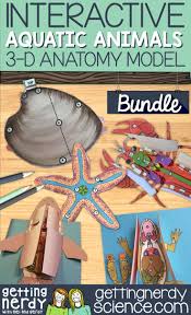 3 D Paper Dissection Models For Classroom Use In Preparation For Or In Lieu Of Dissection Include Biology Lessons Life Science Lessons Life Science Activities