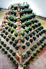 Realiser Un Jardin Vertical Exterieur Avec Des Bouteilles En Plastiques Le Coin Potager Idees De Jardinage Jardins Potagers Verticaux Jardinage Hydroponique