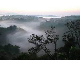 Pin On India Favorite Things