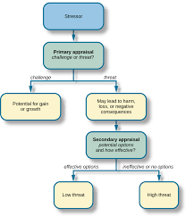 What Is Stress Psychology