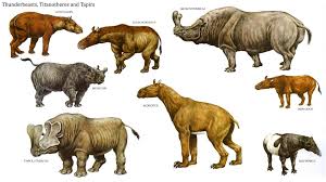 Want to discover art related to embolotherium? Robingoodfellow S Collection Collection Tour From Page 113