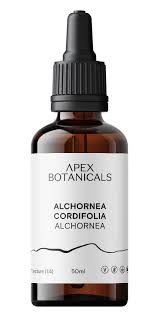 Image result for Alchornea cordifolia