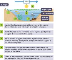 An Illustration Showing Eutrophication In Water Caused By An Increase In Nitrate And Phosphate From Fertilisers Science Revision Biology Revision Biology