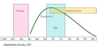 Reproductive Seasonality In Deer