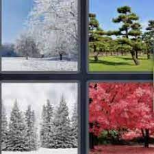 Why not join in with the 4 pics 1 word fun! 4 Pics 1 Word 5 Letters Answers Easy Search Updated 2021