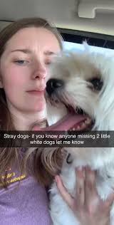 Peyton Bush (@PeytonBush_)