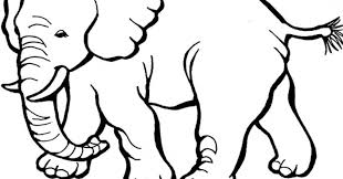 Perhatikan ukuran saluran air mata dan garis air karena keduanya penting untuk membuat mata terlihat realistis. Lukisan Gajah Dengan Pensil Cikimm Com