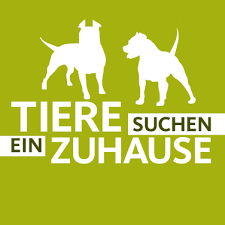 In der grazer straße und am plickweg sind auch katzen zugelaufen. Tiere Suchen Ein Zuhause Home Facebook