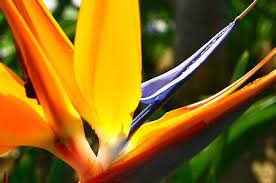 Cornell.edu roll20.net simplilearn.com educacao.mg.gov.br checkout.com . Onlyhardporn Mobi Db 20 D9 84 D8 Ad D8 B3 20 D8 A7 D9 84 D9 85 D9 87 D8 A8 D9 84 Onlyhardporn Mobi Db 20 D8 B3 D9 83