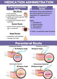 Image result for Medication Route