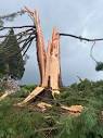 Lightning Strike Obliterates Tree on Kraxberger Road Near Canby ...