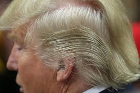 When it comes to hair colour transformations, we're so used to seeing somebody visit the hairdressers in an attempt to cover up their greys. Why Is Obama S Hair Almost Completely Grey While Trump S Hair Is More Of A Younger Blonde Isn T Trump Much Older Than Obama Quora