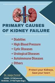 Renal system disease, any of the diseases or disorders that affect the human urinary system, including tumors, infections and inflammations, and obstructions. Primary Causes Of Kidney Failure Kidney Failure Causes Kidney Failure End Stage Renal Disease