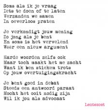 Wil Ik Jou Als Advocaat Nononsonsmoms
