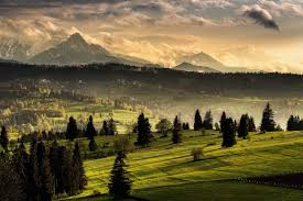 The best nature reserves in slovakia. 4544952 Nature Forest Mist Snowy Peak Slovakia Village Clouds Grass Landscape Tatra Mountains Wallpaper Mocah Hd Wallpapers