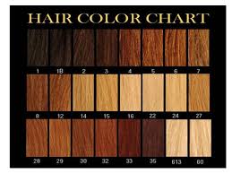 11 secrets about african american hair color chart that has