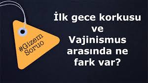 Ilk Gece Korkusu Ve Vajinismus Arasindaki Fark Nedir Rahim Sarkmasi Iliskiler Hamilelik