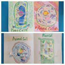 Check spelling or type a new query. Classroom Connection 5th Grade S Plant And Animal Cell Projects Tending Our Common Ground