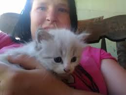 So excited! Grandchildren and I found out first 'cat' of the 2021 season  today! South Central VA