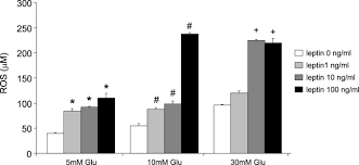 Leptin Induces Mitochondrial Superoxide Production and Monocyte  Chemoattractant Protein-1 Expression in Aortic Endothelial Cells by  Increasing Fatty Acid Oxidation via Protein Kinase A*