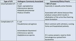 How To Treat Urinary Tract Infections Tl Dr Pharmacy