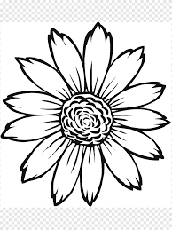 Buku mewarnai bunga desain bunga ilustrasi bunga unduh putih. Buku Mewarnai Common Sunflower Light Menggambar Bunga Matahari Putih Anak Png Pngegg