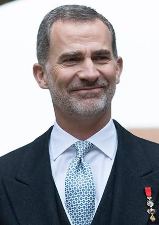 Tập tin:King Felipe VI of Spain.jpg – Wikipedia tiếng Việt