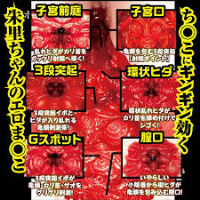 购买NPG - 名器之证明File 002 美谷朱里自慰器— 网上商店— Take Toys 香港香港