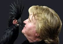 Todd Warner « Cotlection