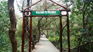 Dengan mudah sehingga sketsa pemandangan yang dibuat harus ada contohnya terlebih dahulu agar memudahkan. Infopublik Beberapa Potensi Desa Wisata Ada Di Demak