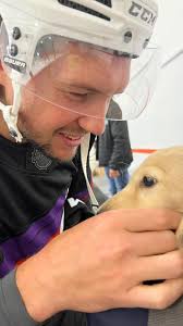 Watch me get comfortable around the rink in 48 hours to see my dad’s summer  games 🏒😌 , #dachshund #dachshunds #dachundsofinstagram  #longhaireddachshund #creamdachshund #doxie #doxiesofinstagram ...
