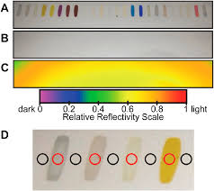 No crank sensor signal detected. Sensor Array Imaging With Cell Phone Camera A Digital Image Of The Download Scientific Diagram