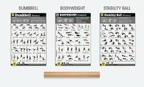 Exercise Posters Set Of 3 Workout Chart Laminated Strength