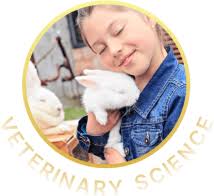 Summer Camps For Kids in Houston and Austin Texas