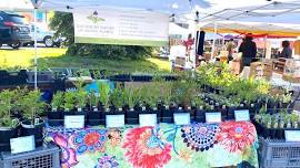 2026 Native Wildflower Sale