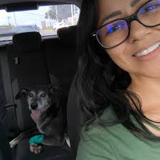 Castração Gatos de Rua Atibaia (@castracaogatosderuaatibaia) · Instagram  照片和视频